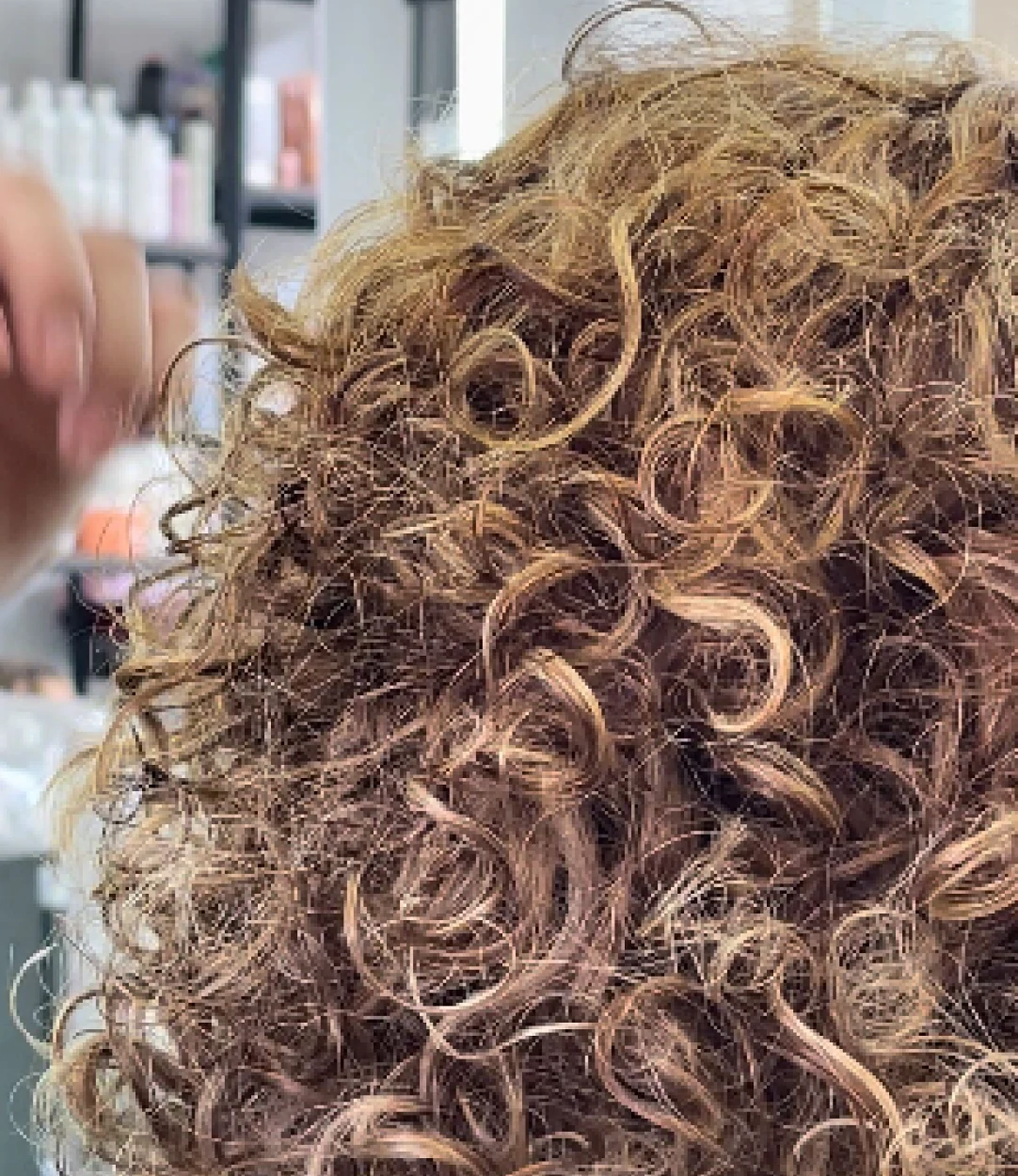 Cabello rizado castaño con textura definida y volumen visto desde atrás